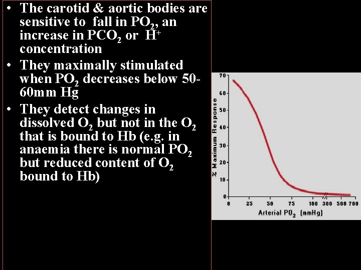  • The carotid & aortic bodies are sensitive to fall in PO 2,