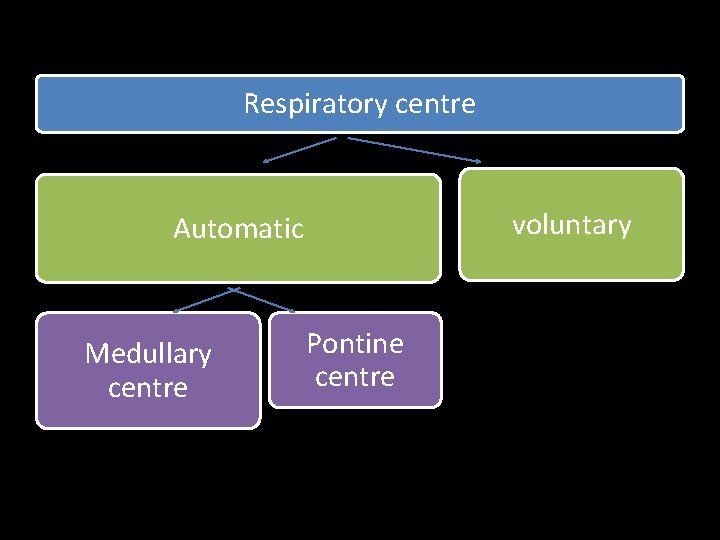 Respiratory centre voluntary Automatic Medullary centre Pontine centre 