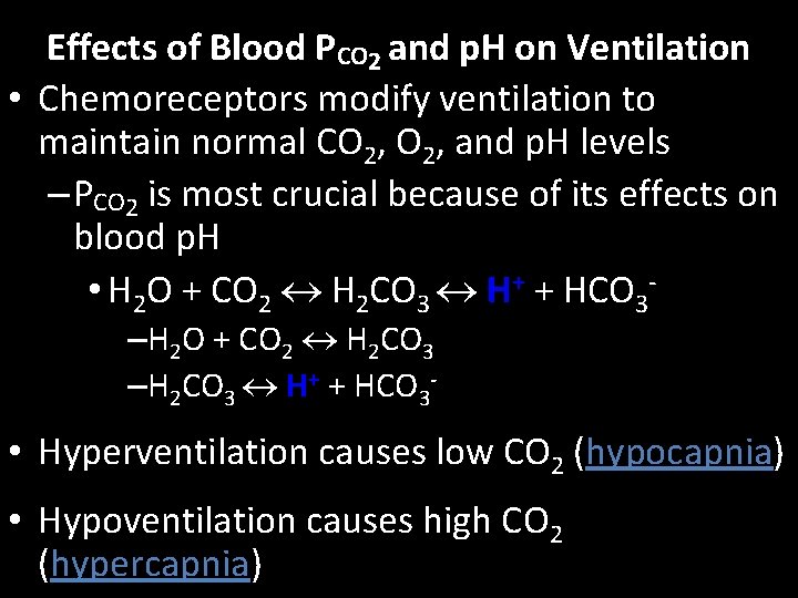 Effects of Blood PCO 2 and p. H on Ventilation • Chemoreceptors modify ventilation