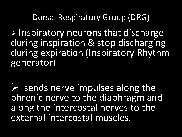 Dorsal Respiratory Group (DRG) Ø Inspiratory neurons that discharge during inspiration & stop discharging