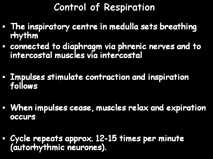 Control of Respiration • The inspiratory centre in medulla sets breathing rhythm • connected