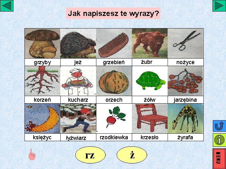 Jak napiszesz te wyrazy? żubr grzyby jeż grzebień korzeń kucharz orzech żółw jarzębina księżyc Jak napiszesz te wyrazy? żubr grzyby jeż grzebień korzeń kucharz orzech żółw jarzębina księżyc