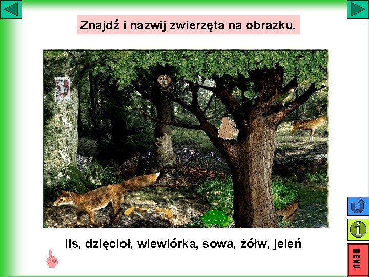 Znajdź i nazwij zwierzęta na obrazku. lis, dzięcioł, wiewiórka, sowa, żółw, jeleń Znajdź i nazwij zwierzęta na obrazku. lis, dzięcioł, wiewiórka, sowa, żółw, jeleń