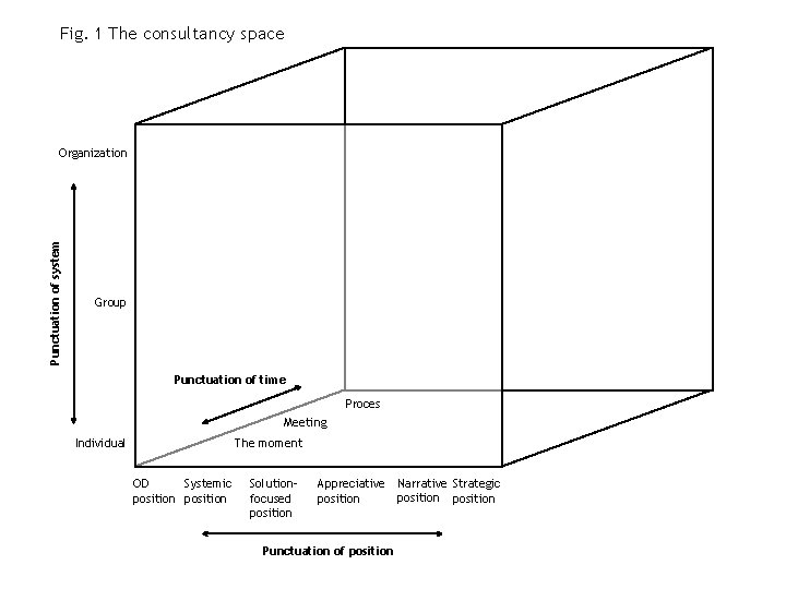 Fig. 1 The consultancy space Punctuation of system Organization Group Punctuation of time Proces