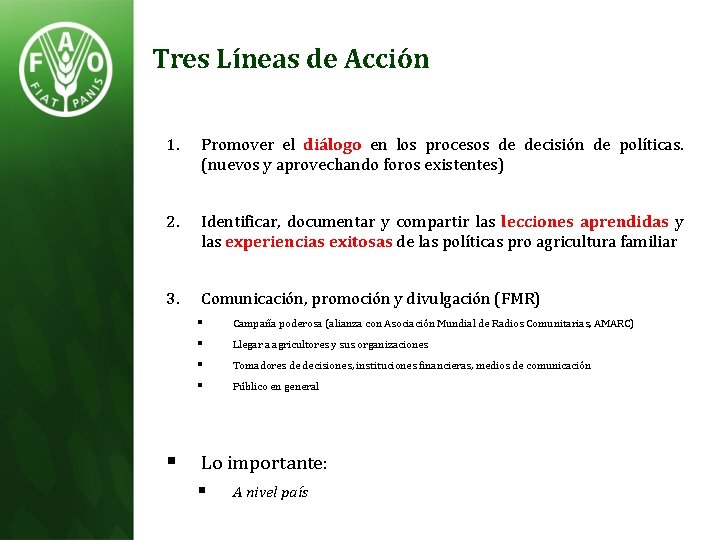 Tres Líneas de Acción 1. Promover el diálogo en los procesos de decisión de