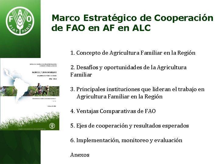 Marco Estratégico de Cooperación de FAO en AF en ALC 1. Concepto de Agricultura