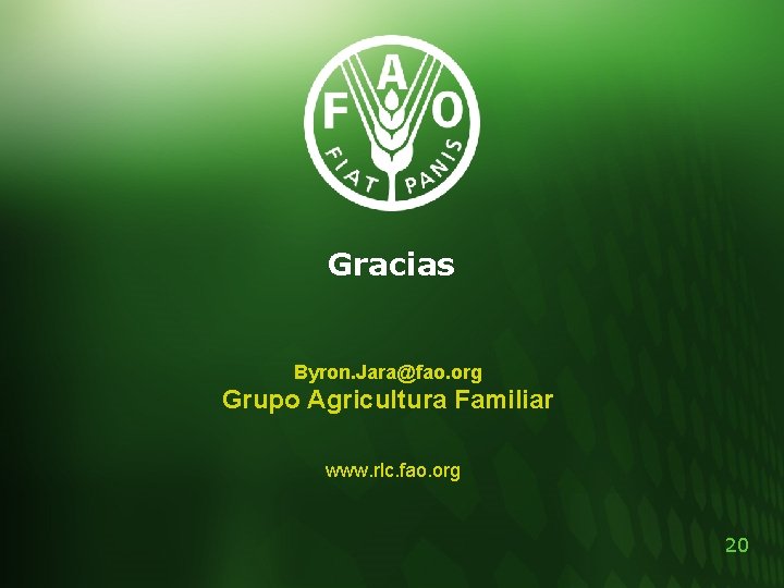 Gracias Byron. Jara@fao. org Grupo Agricultura Familiar www. rlc. fao. org 20 