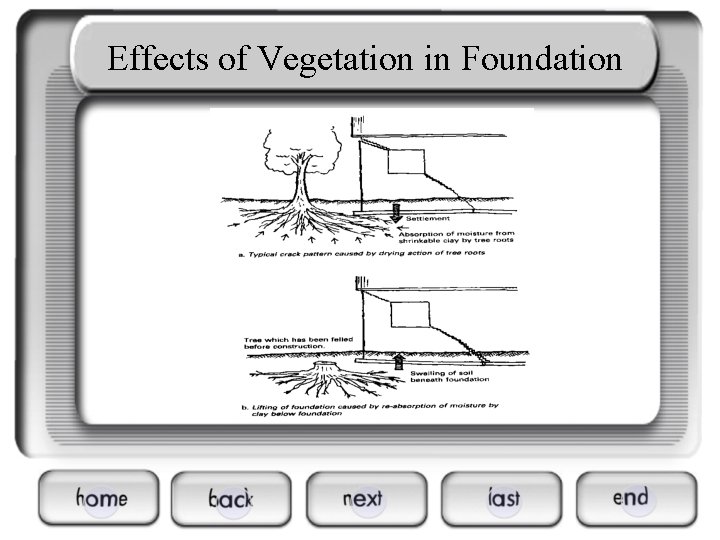 Effects of Vegetation in Foundation 
