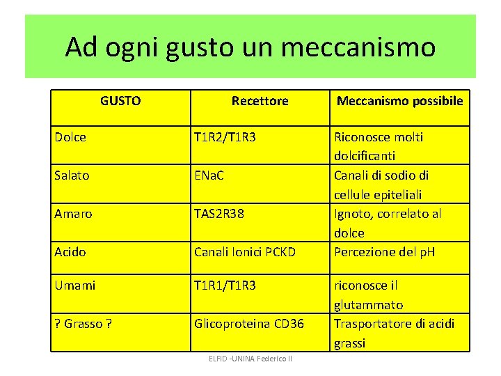 Ad ogni gusto un meccanismo GUSTO Recettore Dolce T 1 R 2/T 1 R