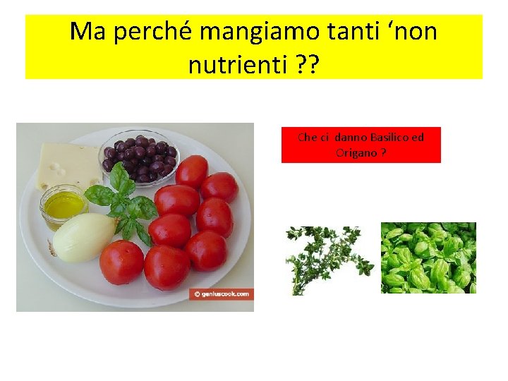 Ma perché mangiamo tanti ‘non nutrienti ? ? Che ci danno Basilico ed Origano