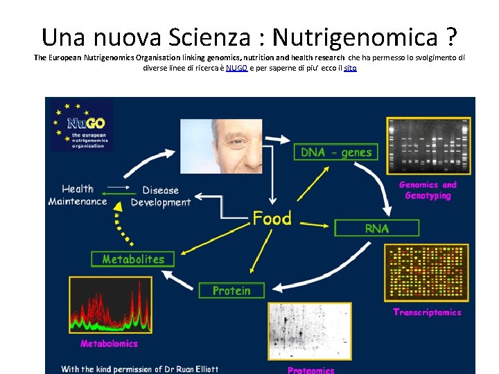 Una nuova Scienza : Nutrigenomica ? The European Nutrigenomics Organisation linking genomics, nutrition and
