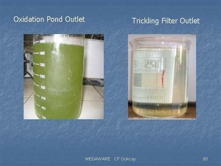 Oxidation Pond Outlet Trickling Filter Outlet MEDAWARE CF Gokcay 80 