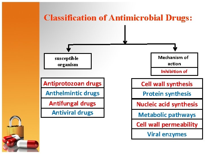 anthelmintic agents antibacterial