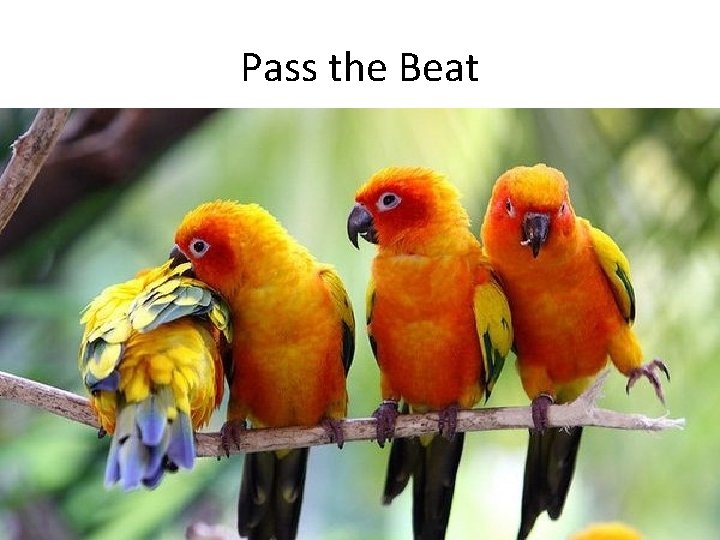 Pass the Beat 