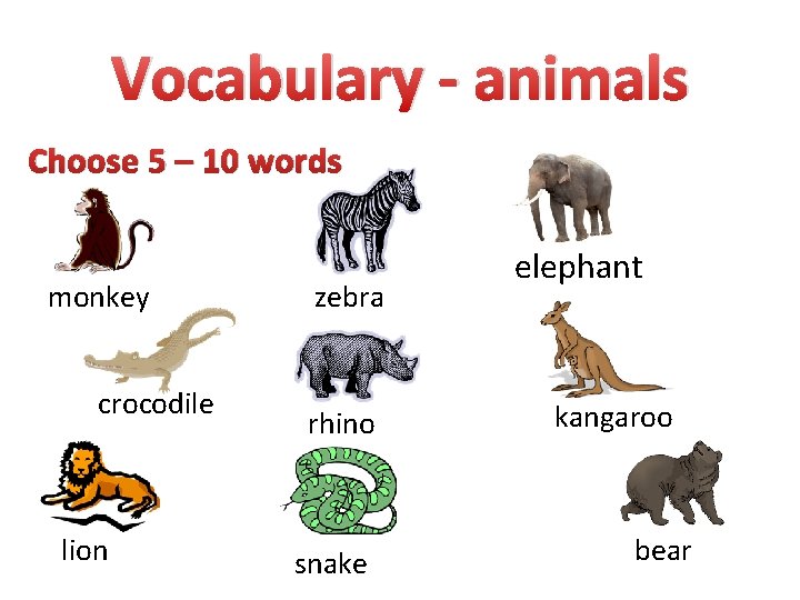 Vocabulary - animals Choose 5 – 10 words monkey crocodile lion zebra rhino snake