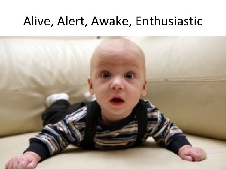 Alive, Alert, Awake, Enthusiastic 