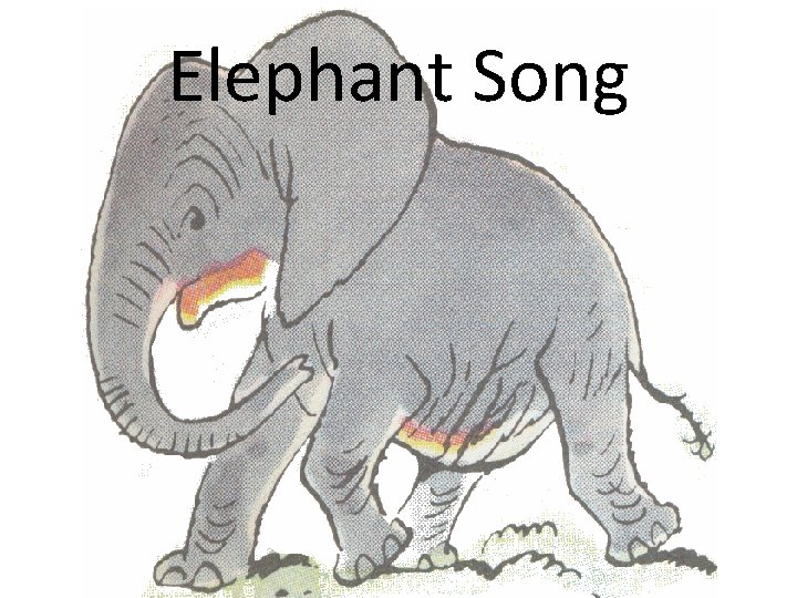 Elephant Song 