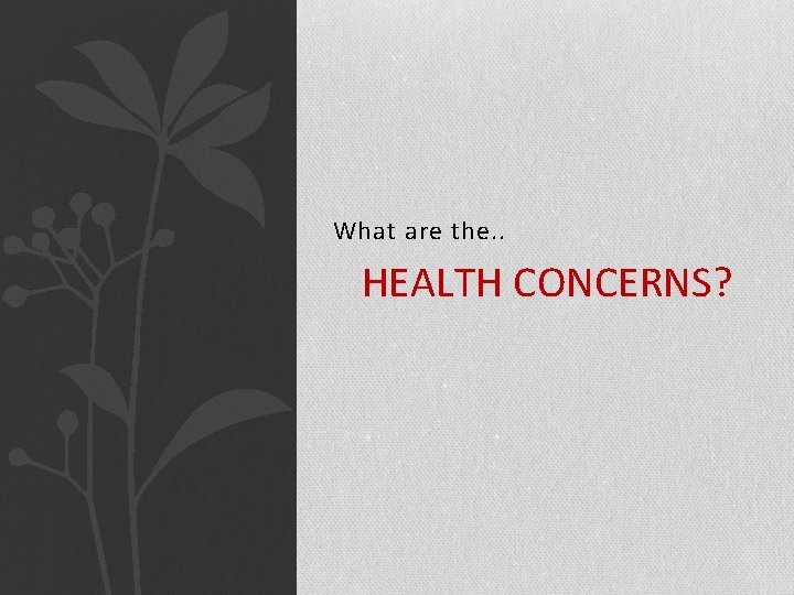 What are the. . HEALTH CONCERNS? 