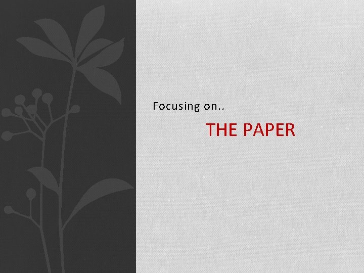 Focusing on. . THE PAPER 