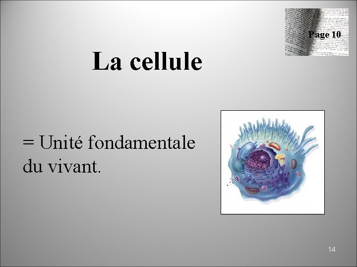 Anatomie physiologie niveaux dorganisation du vivant 1 Cur