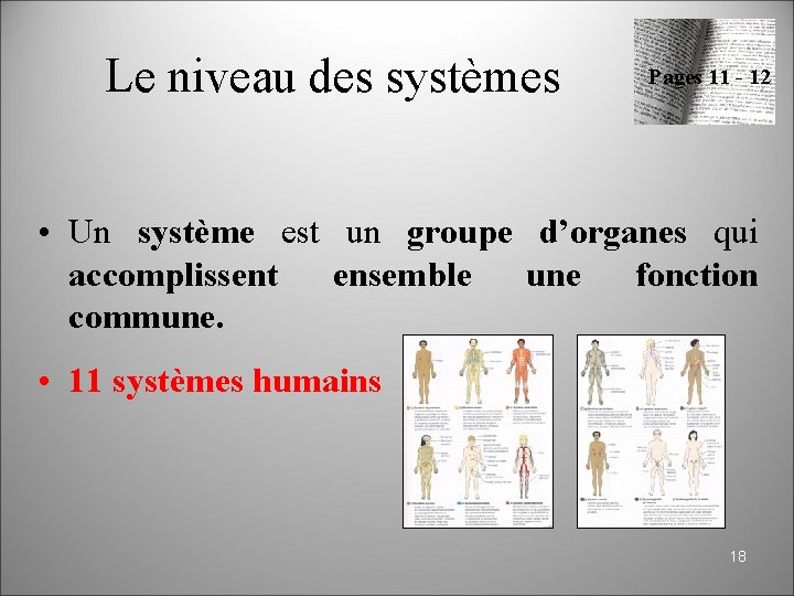 Anatomie physiologie niveaux dorganisation du vivant 1 Cur
