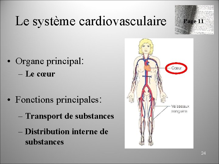 Anatomie physiologie niveaux dorganisation du vivant 1 Cur