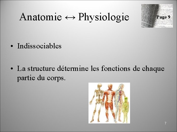 Anatomie physiologie niveaux dorganisation du vivant 1 Cur