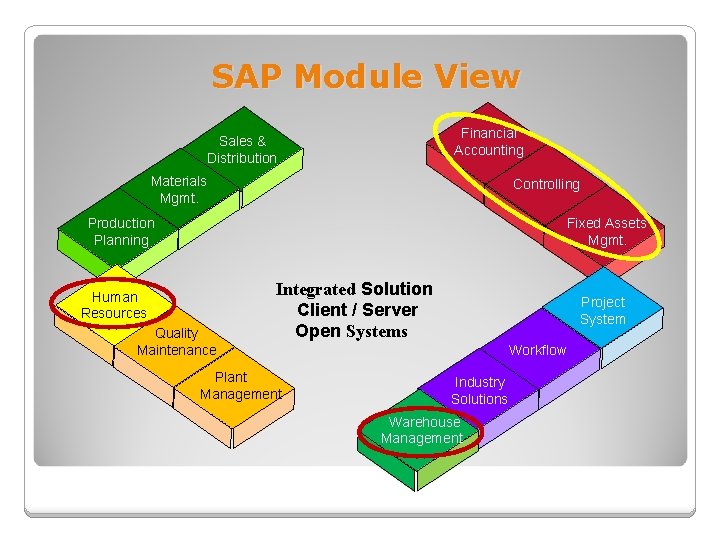 SAP Module View Financial Accounting Sales & Distribution Materials Mgmt. Controlling Fixed Assets Mgmt.