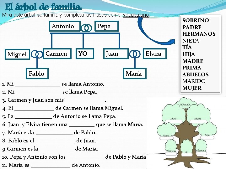 El árbol de familia: Mira este árbol de familia y completa las frases con