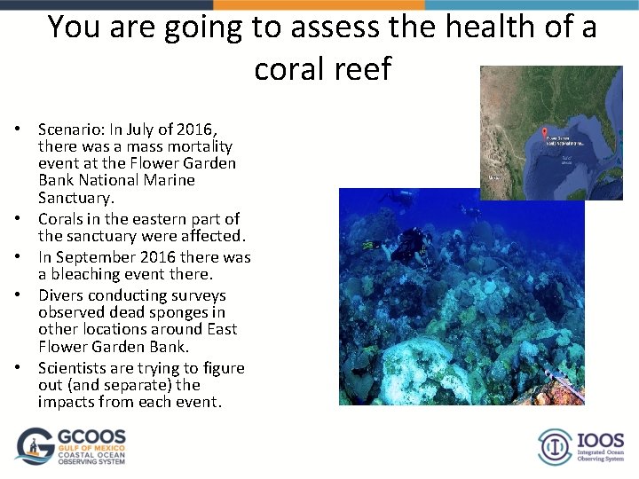You are going to assess the health of a coral reef • Scenario: In You are going to assess the health of a coral reef • Scenario: In