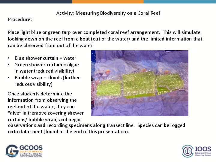 Procedure: Activity: Measuring Biodiversity on a Coral Reef Place light blue or green tarp