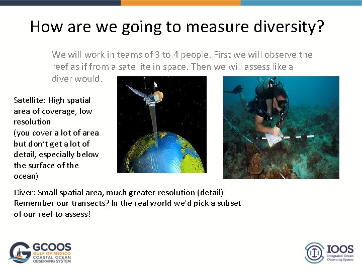 How are we going to measure diversity? We will work in teams of 3 How are we going to measure diversity? We will work in teams of 3