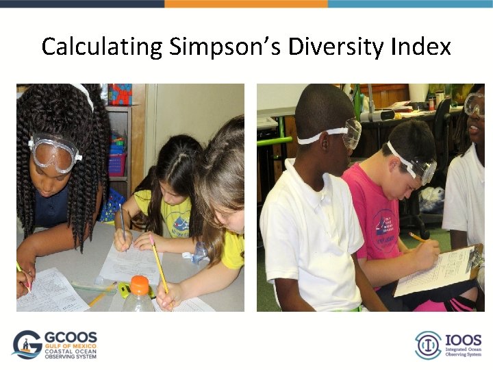 Calculating Simpson’s Diversity Index 