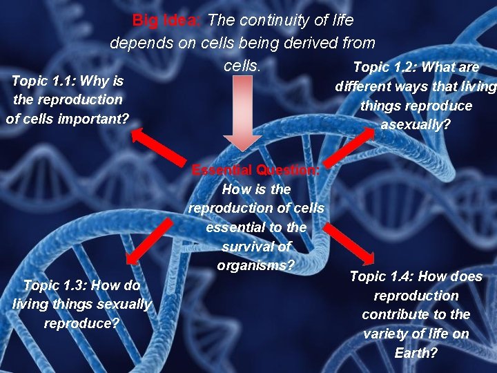 Big Idea: The continuity of life depends on cells being derived from cells. Topic