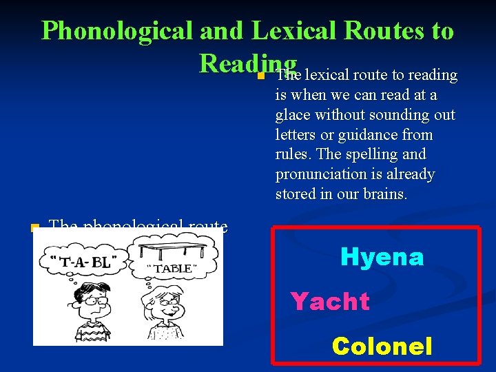 Phonological and Lexical Routes to Reading n The lexical route to reading is when
