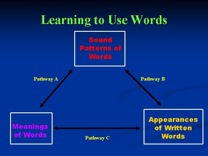 Learning to Use Words Sound Patterns of Words Pathway A Meanings of Words Pathway