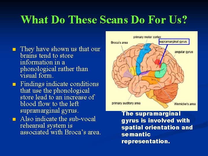 What Do These Scans Do For Us? n n n They have shown us