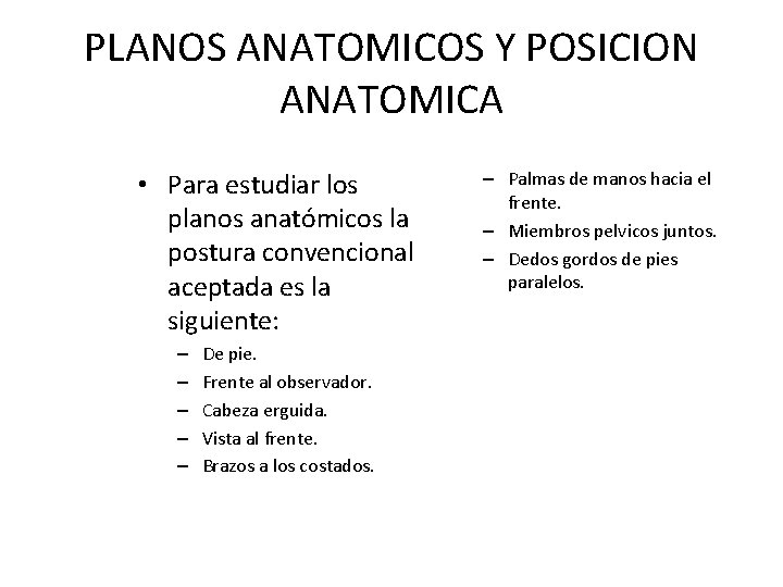 PLANOS ANATOMICOS Y POSICION ANATOMICA • Para estudiar los planos anatómicos la postura convencional