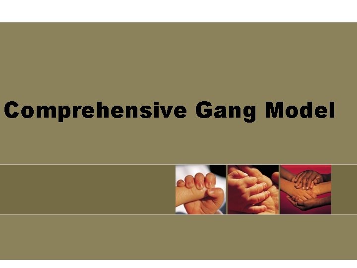 Comprehensive Gang Model Comprehensive Gang Model