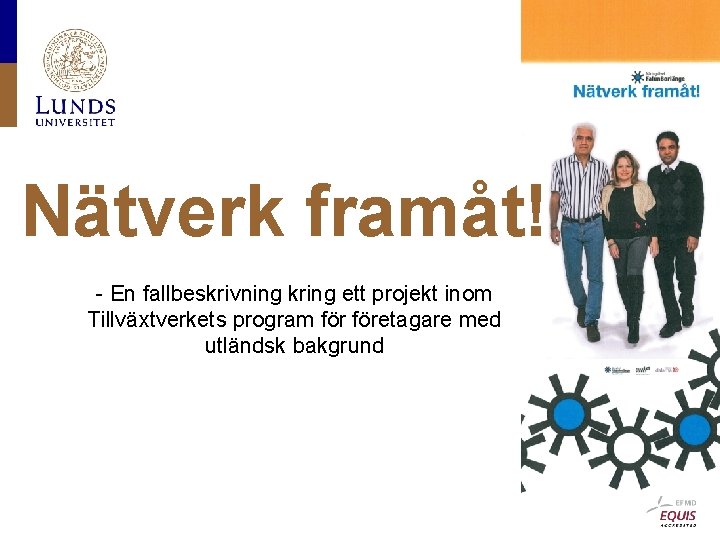 Nätverk framåt! - En fallbeskrivning kring ett projekt inom Tillväxtverkets program företagare med utländsk