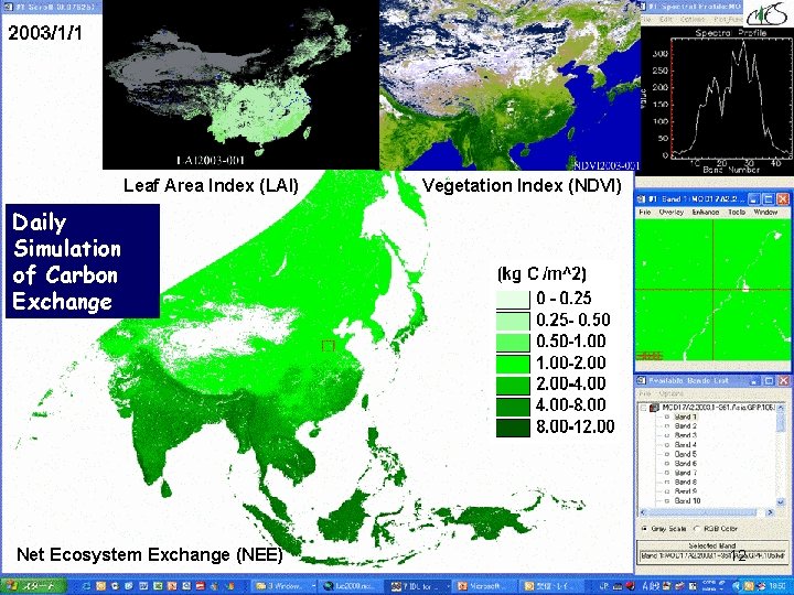 Leaf Area Index (LAI) Vegetation Index (NDVI) Daily Simulation of Carbon Exchange Net Ecosystem