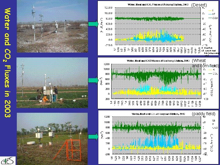 (Desert) H: Heat flux LE: Latent heat flux (evaporation rate) (Wheat and corn field))