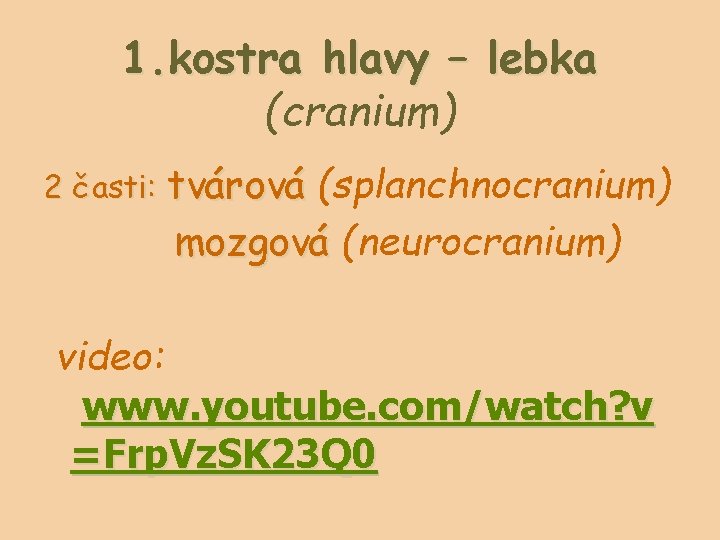 1. kostra hlavy – lebka (cranium) 2 časti: tvárová (splanchnocranium) mozgová (neurocranium) video: www.