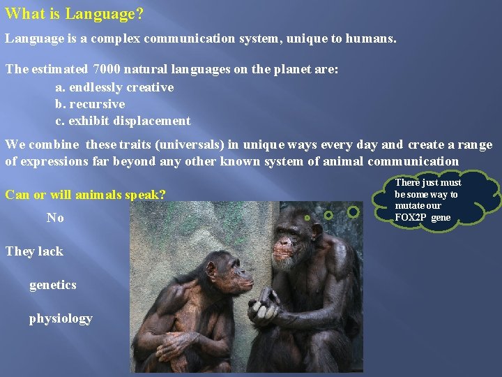 What is Language? Language is a complex communication system, unique to humans. The estimated