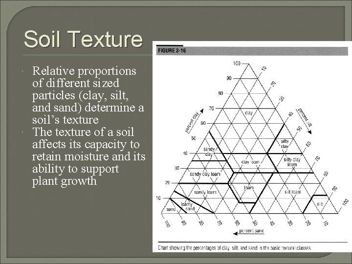 Soil Texture Relative proportions of different sized particles (clay, silt, and sand) determine a