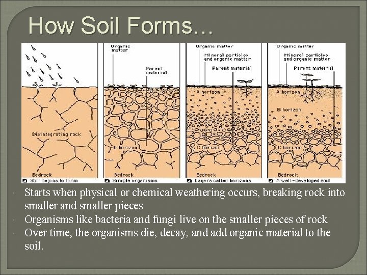 How Soil Forms… Starts when physical or chemical weathering occurs, breaking rock into smaller