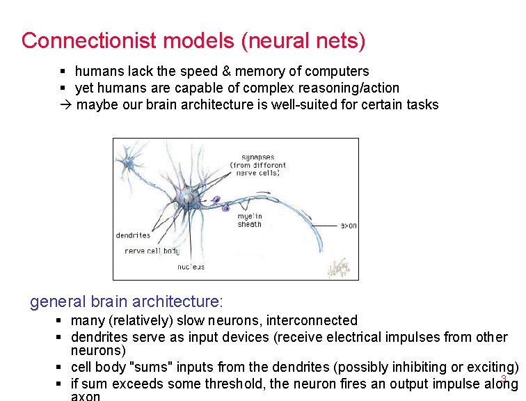 Connectionist models (neural nets) § humans lack the speed & memory of computers §