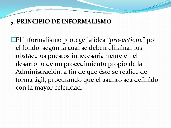 5. PRINCIPIO DE INFORMALISMO �El informalismo protege la idea “pro-actione” por el fondo, según