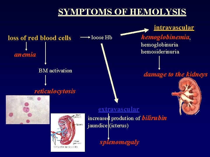 SYMPTOMS OF HEMOLYSIS loss of red blood cells loose Hb intravascular hemoglobinemia, hemoglobinuria hemosiderinuria
