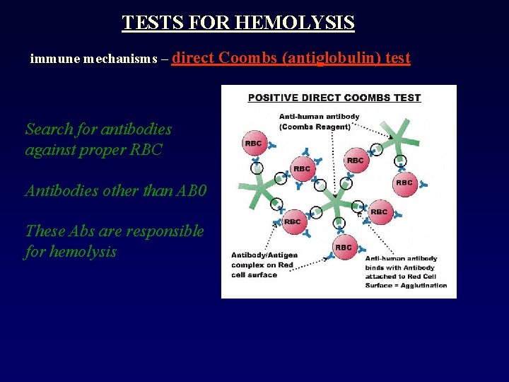 TESTS FOR HEMOLYSIS immune mechanisms – direct Search for antibodies against proper RBC Antibodies